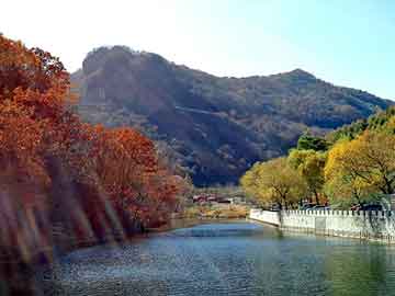 新澳天天开奖资料大全旅游团，妮丽雅